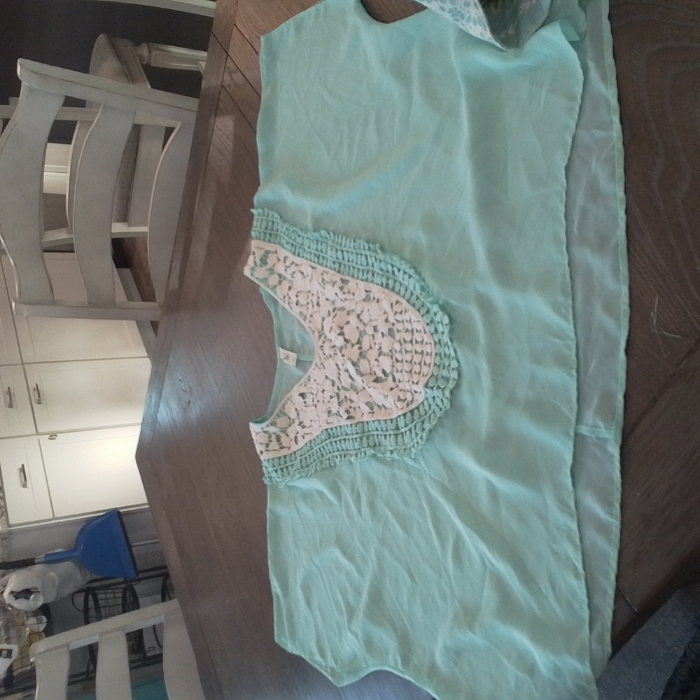 Lette sheer aqua green embroidered blouse